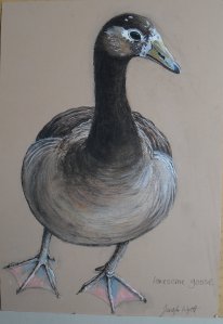 lonesome mixed-race goose